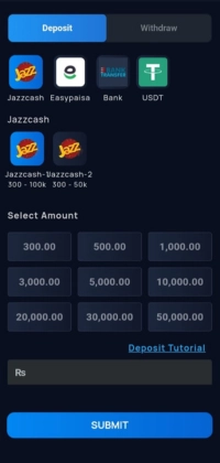 PK1 Game deposit and withdraw section showing payment options and amount selection
