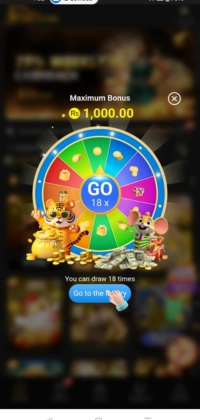 W567 Game photo