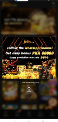 W567 game image